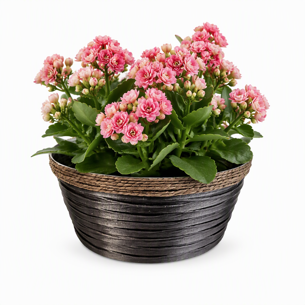 PE+PP Wicker Planter Basket with Built-In PET Liner – Weatherproof Indoor & Outdoor Plant Pot