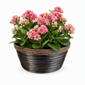 PE+PP Wicker Planter Basket with Built-In PET Liner – Weatherproof Indoor & Outdoor Plant Pot