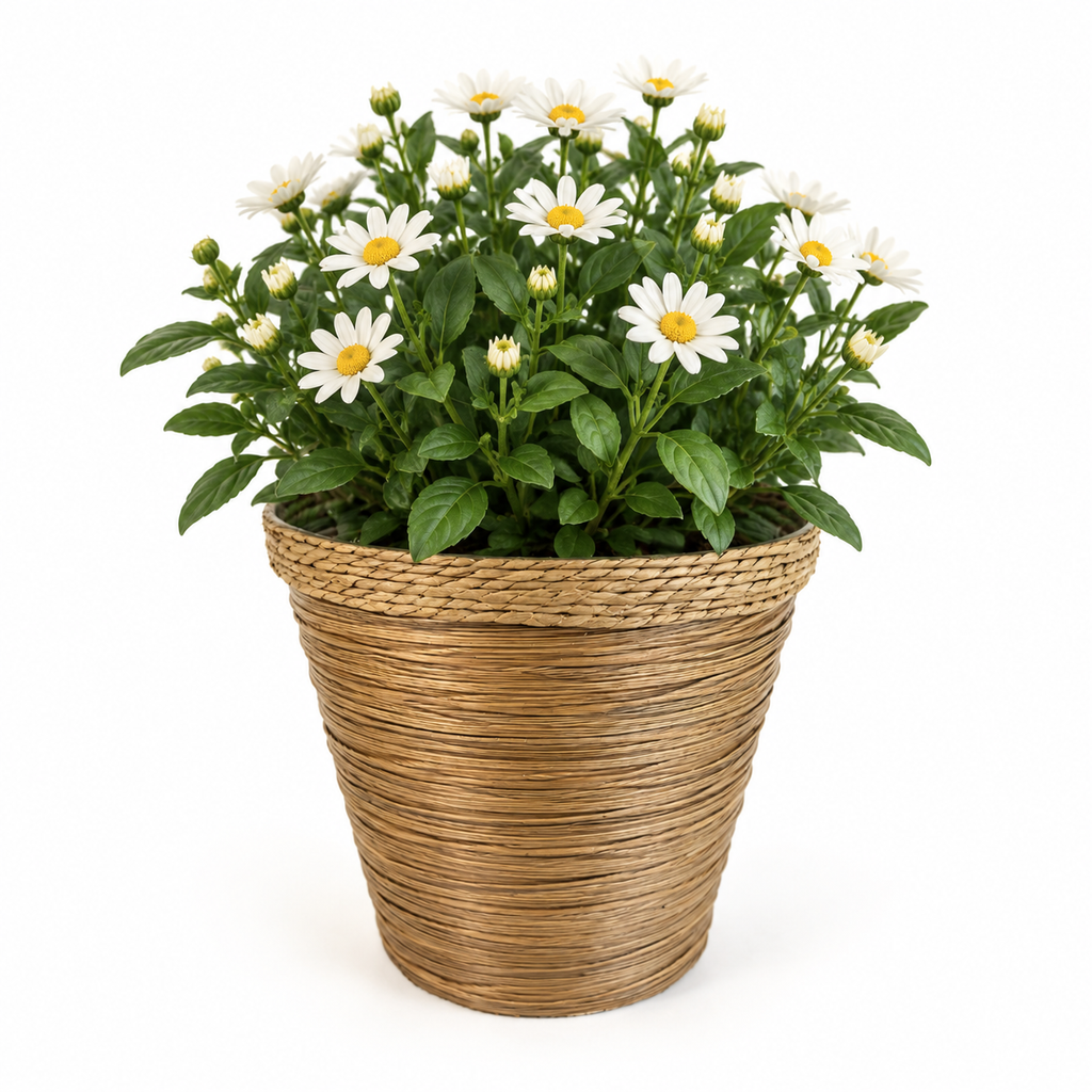 Woven PE+PP Planter Basket – Handmade-Style Decorative Plant Holder for Home & Garden
