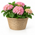 Natural Jute Rope Woven Planter Basket – Handcrafted Eco-Friendly Plant Pot Cover for Indoor & Outdoor Decor