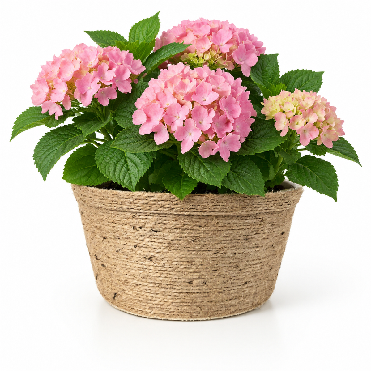 Natural Jute Rope Woven Planter Basket – Handcrafted Eco-Friendly Plant Pot Cover for Indoor & Outdoor Decor