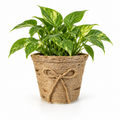 Handwoven Natural Jute Rope Planter Basket with Decorative Bow – Rustic Home Décor & Plant Holder