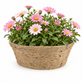 Handwoven Natural Jute Rope Planter Basket with Biodegradable PET Liner – Rustic Indoor & Outdoor Plant Holder