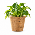 Natural Jute Planter Basket – Rustic Woven Plant Pot Cover for Home Décor
