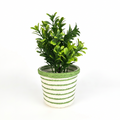Handwoven Paper Rope Plant Basket with Green & White Stripes for Indoor Planters